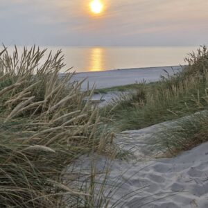 S003 Vagus-Reset – schnelle Selbstregulation in 90 Sekunden