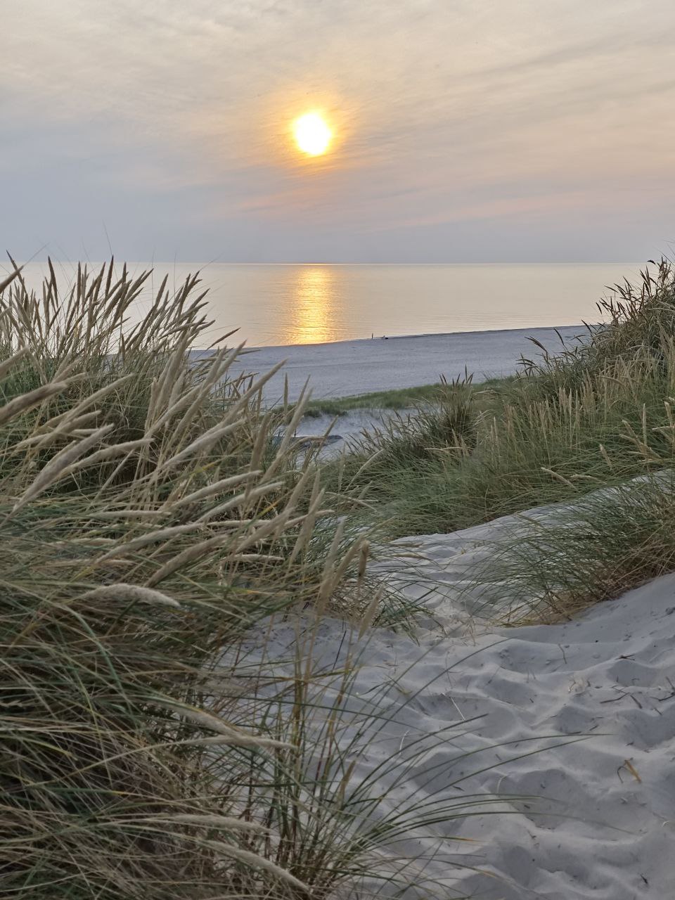 Trainingsfenster meistern: Basisrauschen senken