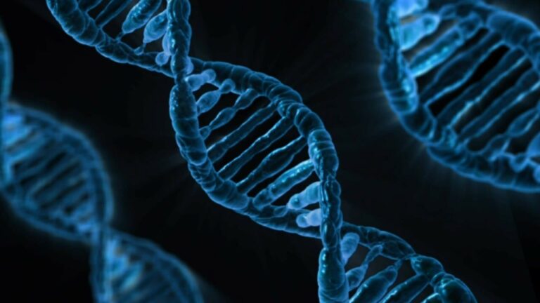 DNA und Laborbezug – Biomarker und Befunde im größeren Muster betrachten
