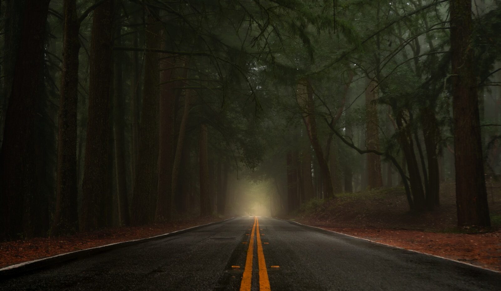Straße durch einen nebligen Wald – Orientierung bei unklaren Beschwerden